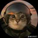 sharkz_ita