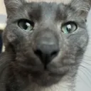 cinder_song