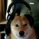 nobleb6