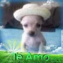 pjosep