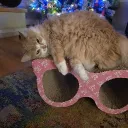 chrisibeannn