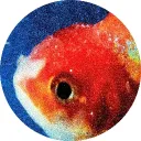 .soulshark