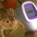 foozarftg