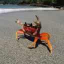 avatar Sadsasdsadads