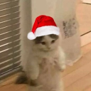 avatar !                              ☔