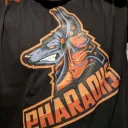 shagdidz