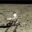 baby_86501