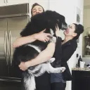 isaidnocookies