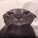 ieatyoulol