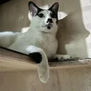 username123to10 avatar