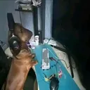 teilokkkkkkkkkkk