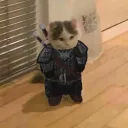 rob_irgendwer