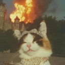 avatar 𝘤𝘳𝘺𝘱𝘩𝘪𝘢