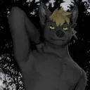 aarontheshadowwolf