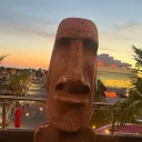 sovapolo