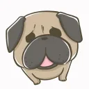 pugnii