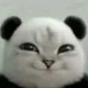 rudj