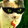 chatcureuil