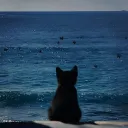 virosnd