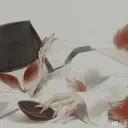 .snowlotus