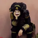 murbek