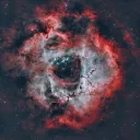 texastoast_