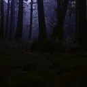 thesecondhandfrog