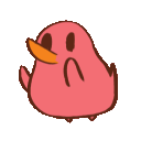 _kiiwii_