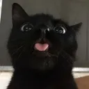 vxmpire_