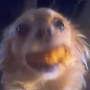 boogietheballer