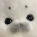blubberblast