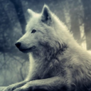 alt___f4#8260's avatar