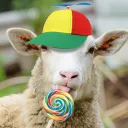 sheepersheep