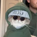 sean's Discord avatar