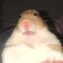 krinkrin