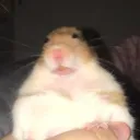 krinkrin