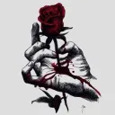 akaruirose