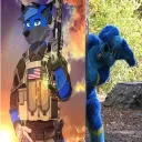 delta_husky