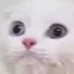 est_jung01