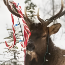 funkyclunkyspooks#7257's avatar