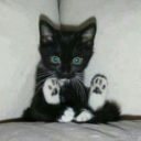 avatar m