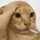 hoangkunka