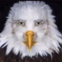 avatar dostumun dostusu