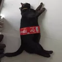 conebread5493