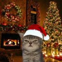 avatar 𝘏𝘰𝘯𝘯𝘢𝘳𝘪