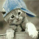 avatar antonionline.pl