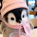 avatar Tonkica ♥•