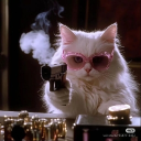 avatar Tonkica ♥•