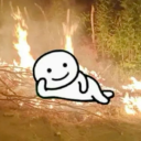 avatar mitchii.