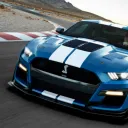 shelby_vision